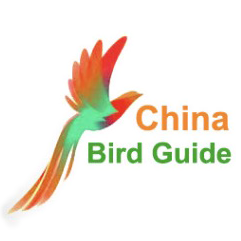 Bird Tour China, China Birding Tour, China Mammal Tour