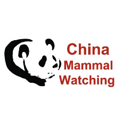 Bird Tour China, China Birding Tour, China Mammal Tour